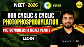 Photosynthesis Lec- 4 | Z-Scheme, Cyclic & Non-Cyclic Photophosphorylation | NEET Biology