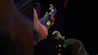 Johnny Ramone - By #ValmirAlmeidaGuitarraGuitar #ValmirAlmeida #GuitarraGuitar