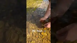 Only been trout fishing twice but it is very rewarding        #fyp #flyfishing #explore #explorepage