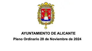Pleno Ordinario - 28 de noviembre de 2024