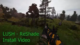 S.T.A.L.K.E.R. Anomaly - LUSH ReShade Install Video