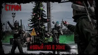 НОВЫЙ ГОД В ЗОНЕ - DayZ STALKERS ZONE PvEvP