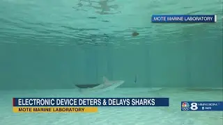 Mote scientists tested fishing device aimed at keeping sharks away from your catch, saw promising re