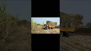 22 ton
