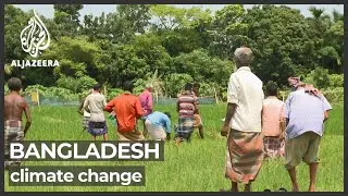 Bangladesh's food supply is threatened by climate change