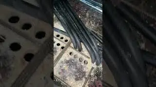 PVC Conduit Pipe Fitting Work In PT Slab.#shortvideo #shorts
