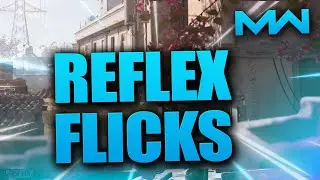 MODERN WARFARE REFLEX FLICKS (PC)
