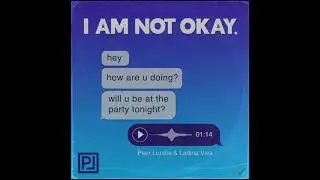 I AM NOT OKAY (Official Audio Visualizer) - Peer Lundie & Ladina Viva