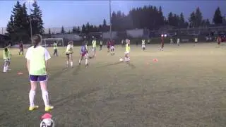 1/2 Cultivating the Midfield Playmaker