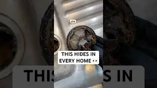 Это прячется в каждом доме 👀