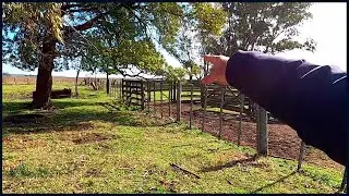 LOS ELECTRICOS ME HACEN RENEGAR EN EL CAMPO
