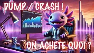 🚨 Le marché crypto baisse, on achète quoi !?