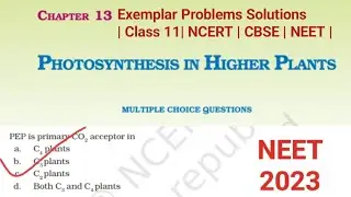 Photosynthesis in higher plants | NCERT Exemplar MCQs solution | Class 11 Biology | NEET|#neet2023