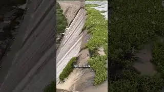 Почему этот мужчина рисковал жизнью ради водопада?