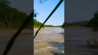 menyelamatkan ikan yang tenggelam #mancing #mancingmelem #shortvideo #shortsviral #shortsyoutube