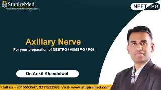 Axillary Nerve I Dr. Ankit Khandelwal I Anatomy Explained I StupireMed