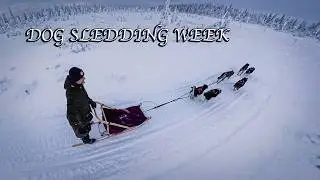 A Winter Week with Dogs, Friends & Fresh Air