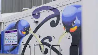 Central Hutt - all the things we love