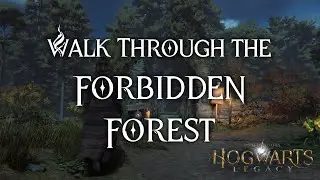 Night Walk Through the Forbidden Forest | Fantasy Creatures and Spooky Walks in Hogwarts Legacy
