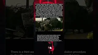 Fallout 2024, два пути к гулю: медленная гниль против ядерного кошмара 😱🧟&zwj;♂️