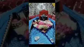 pyarr pyare radharaman ju ko aaj  mangla darshan vrindavan💗#braj #vrindavan #shriradharamanji