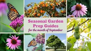 September Garden Prep 🌱 | What to Plant Now | TN Nursery Guide #SeptemberGarden #FallPlanting