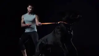 EVOLUTOR The most durable collar & leash in the world ENG
