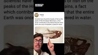 Evidence PROVES Noah&rsquo;s FLOOD REAL🤯 #bible #noahsark #jesus #shorts #prayer #proof #miraculous