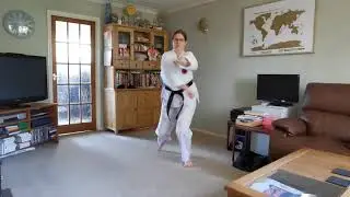 Orange Belt Syllabus 8th Kyu