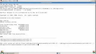 Multiplex a controlfile of an Oracle database