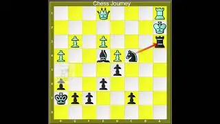 Theme - Cordinate Chess Pieces to Checkmate the opponent