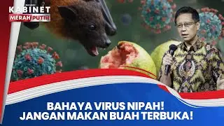 Waspada Virus Nipah! Menkes Budi Gunadi Larang Makan Buah yang Sudah Terbuka, Ini Alasannya! | KMP