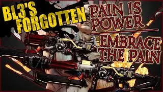 BL3's Forgotten - Embrace the Pain & Pain is Power   Legendary COV ARs Showcase & Guide