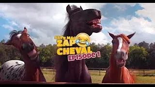 LES MEILLEURS PUB CHEVAL (ZAPPING CHEVAL Ep1)