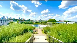 【4𝐊】Warsaw Rooftop Garden - Ogr&oacute;d na dachu Biblioteki  Warszawskiego