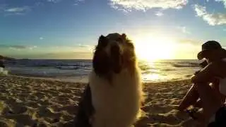 Go Pro HD | Dog Beach