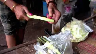 Preparing Wild Bamboo Shoots
