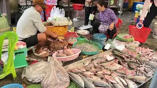 Best Fresh Market Compilation - A Wonderful Cambodian Food Show, Cheap Breakfast, Lunch, Dinner 