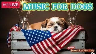 LIVE: Firework Anxiety Relief for Dogs 🐾 | Calm Your Pup&rsquo;s Heartbeat With Soft Piano Music