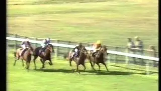 1990 Timeform Futurity