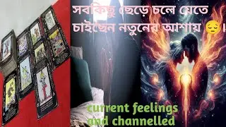 সবকিছু ছেড়ে 😔 ll current feelings and channelled messages ll timeless tarot reading in Bengali 🌈💫