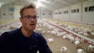 De vleeskuiken: dierenwelzijn en milieu staan voorop