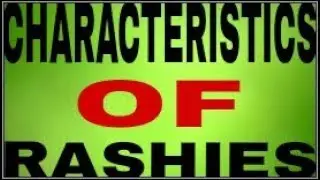 Characteristics Of Rashies In Astrology