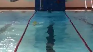 Before Total Immersion Lessons - Kims Training Journey (Part 1)