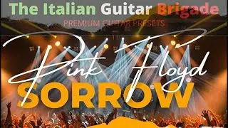 Sorrow - Pink Floyd cover theitalianguitarbrigade.com kemper patch by Piero De Lucia - Gilmour sound