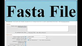 текст в файл fasta #genomewidestudy