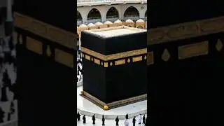 Tragedy in Saudi Arabia: 7 Pakistani Pilgrims Killed#viral #new #news #trending #saudiarabia