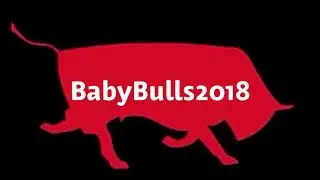 Linwood Rugby clubs BabyBulls2018