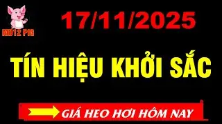 Gi&aacute; heo hơi h&ocirc;m nay 17/11/2025 | T&Iacute;N HIỆU KHỞI SẮC | md12pig #giaheohoihomnay #giaheohoi