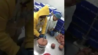 органический гироконус